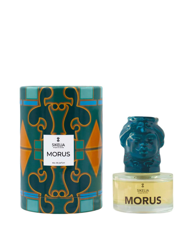 Morus Edp